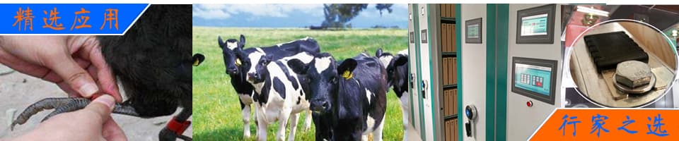 聚氨酯新能源電池緩沖墊專用硅油，有效抑制固化氣泡殘留，增強材料的整體耐壓性